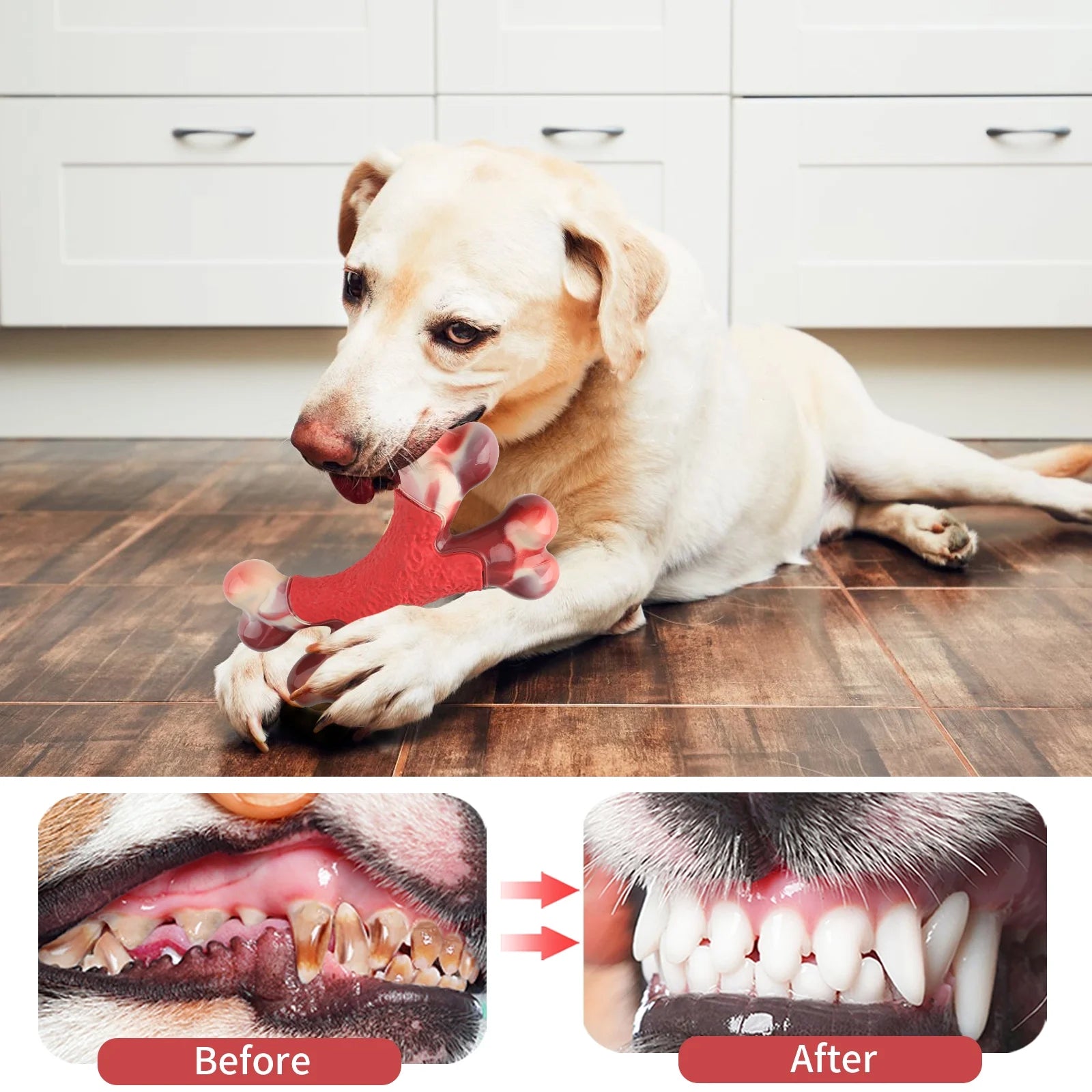 Large Dog Chew Toy for Aggressive Chewers