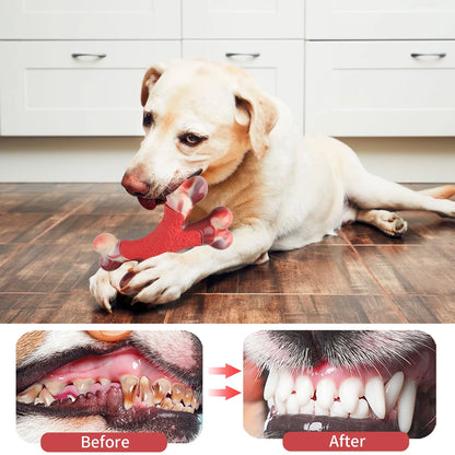 Large Dog Chew Toy for Aggressive Chewers