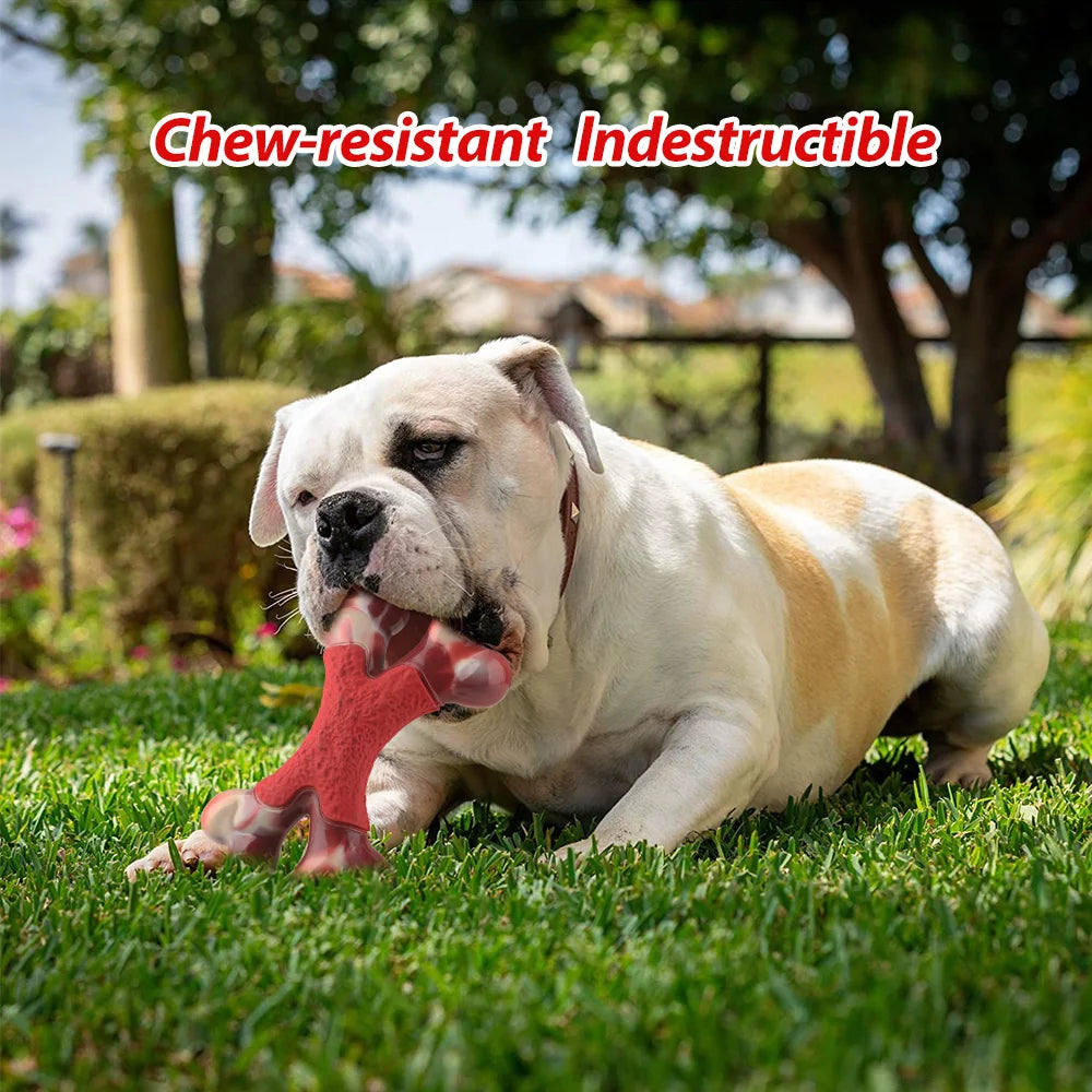 Large Dog Chew Toy for Aggressive Chewers