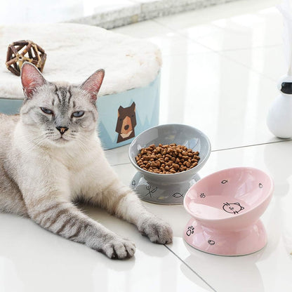 Ceramic Raised Cat Bowls, Slanted Cat Dish Food or Water Bowls