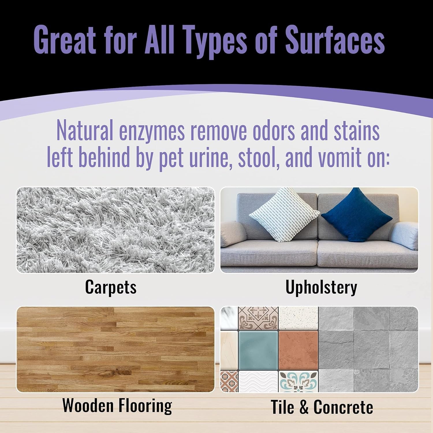 EBPP Odor & Stain Eraser - Made in the USA - Pet Odor Absorber and Room Deodorizer for Home Use - Odor Remover and Urine Odor Eliminator - Lavender Enzyme Carpet Cleaner