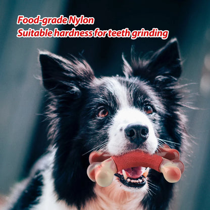 Large Dog Chew Toy for Aggressive Chewers