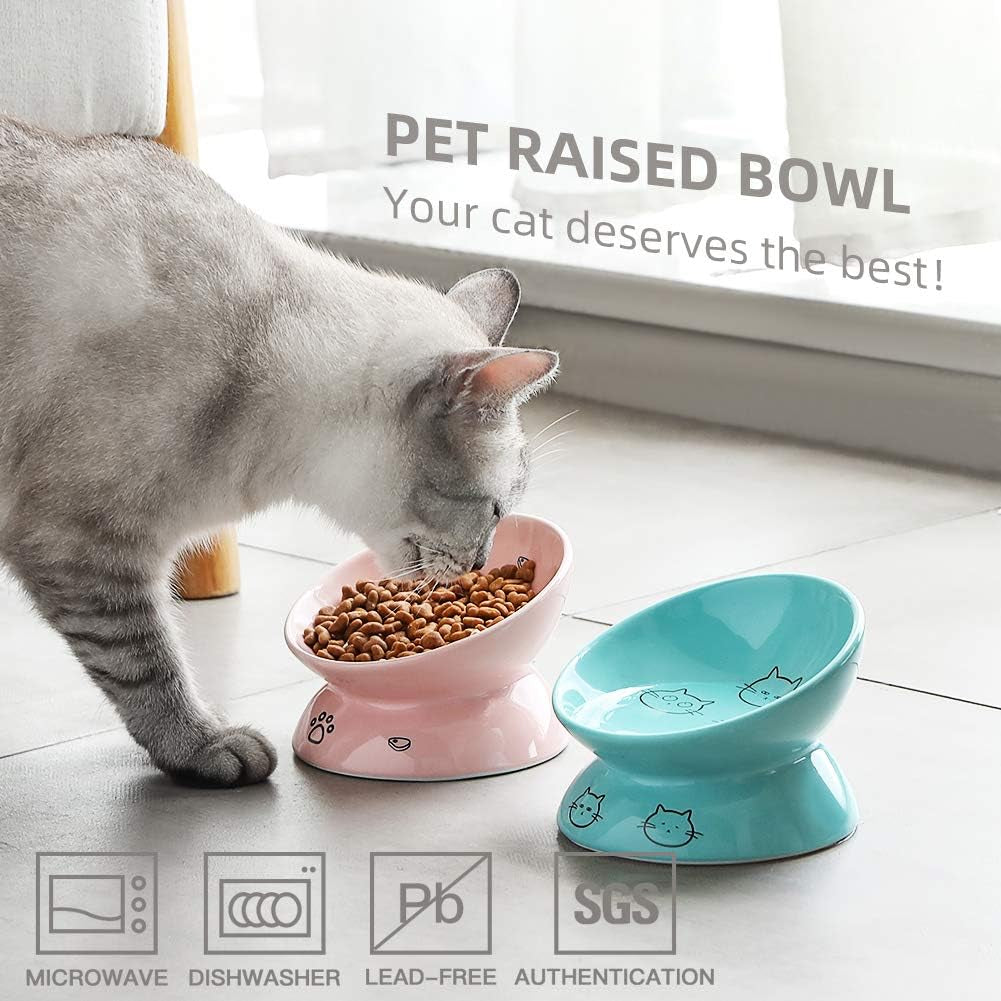 Ceramic Raised Cat Bowls, Slanted Cat Dish Food or Water Bowls