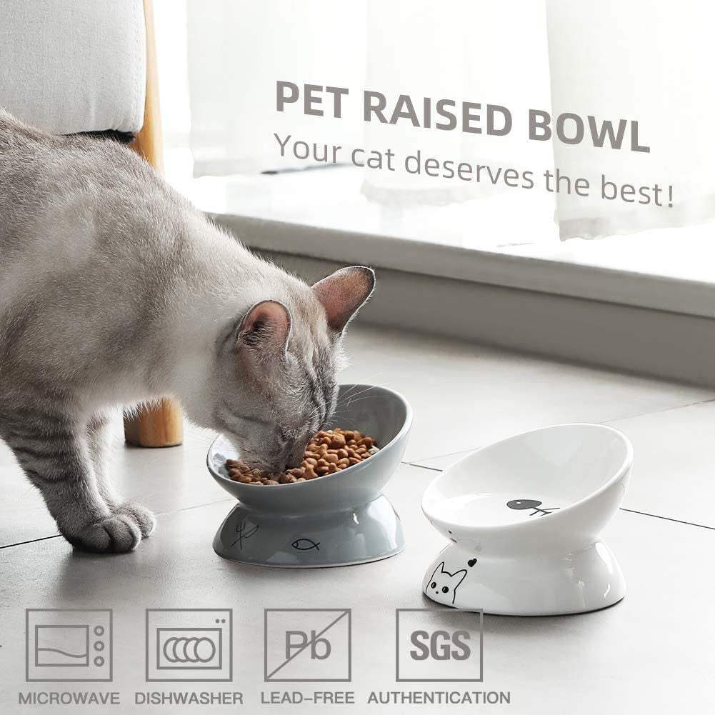 Ceramic Raised Cat Bowls, Slanted Cat Dish Food or Water Bowls
